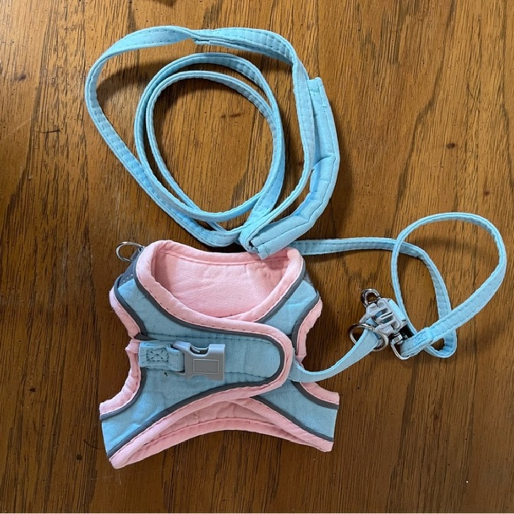 Pet Harness and Leash